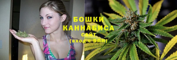 шишки Балабаново