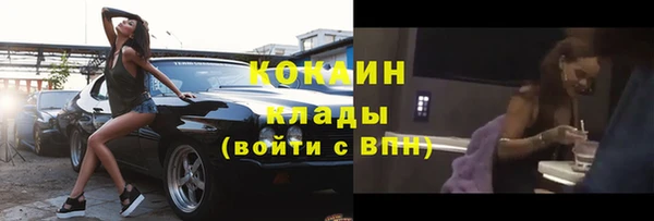 шишки Балабаново