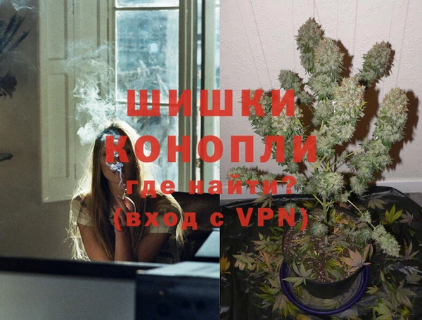 шишки Балабаново