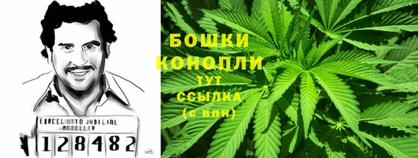 шишки Балабаново
