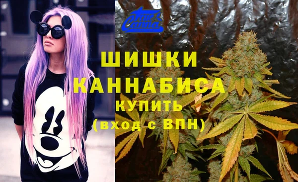 шишки Балабаново